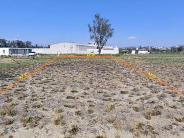 Terreno en venta 630 m² — San Cosme Atlamaxac, Tepeyanco, Tlaxcala