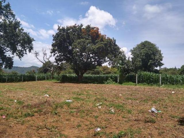 Terreno en Venta