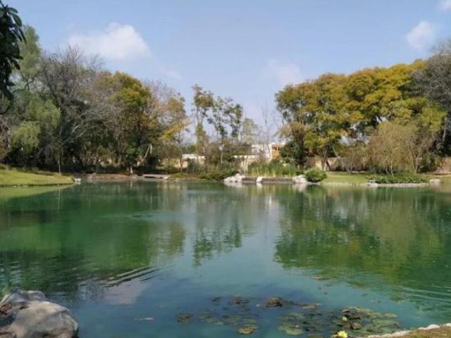 TERRENO EN VENTA $6,000.00 POR m2. 1889.89 m2. EXCLUSIVO FRACCIONAMIENTO “EL CARMEN EN ATLIXCO