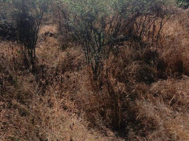 TERRENO EN VENTA ABASOLO GUANAJUATO