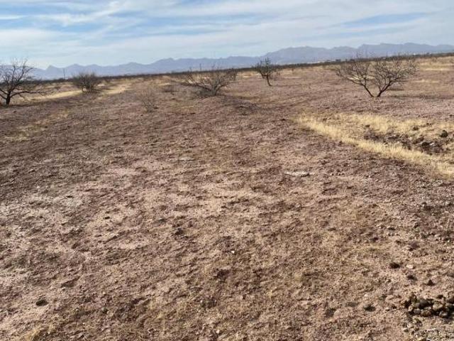 Terreno en venta