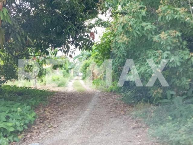 TERRENO EN VENTA
