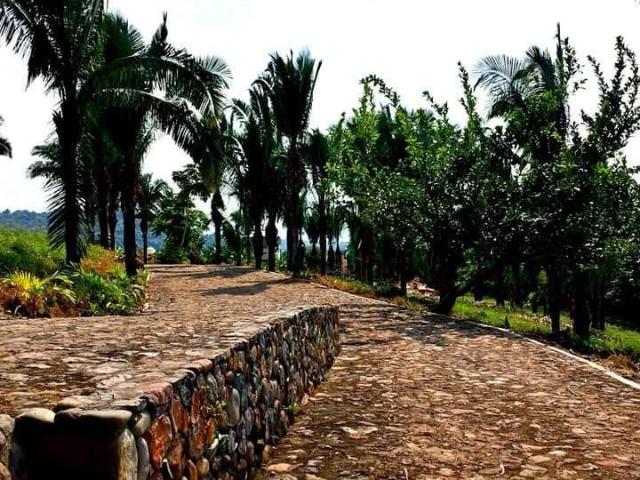 Terreno en Venta