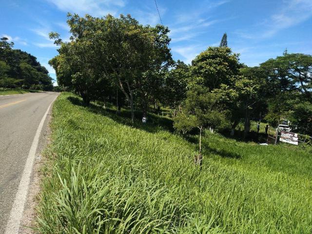 Terreno en venta 9,103 m2 sobre carretera internacional a Coita