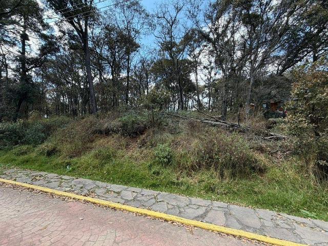 Terreno en Villa del Carb?n
