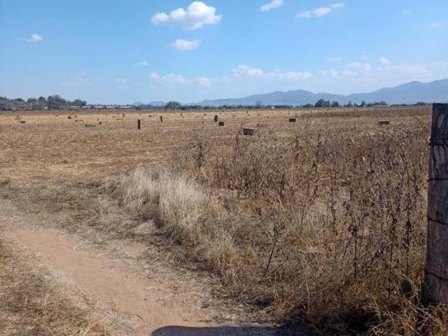 Terreno en Viñedor, Tequisquiapan Qro. Sup. 6 Hectáreas