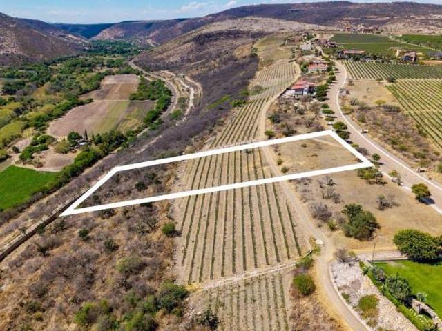 Terreno en viñedos San Miguel