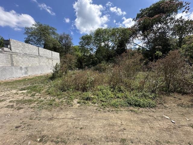 Terreno en Xicotepec de Ju?rez Centro