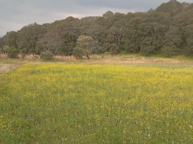 Terreno en Xochimilco Topilejo San Francisco Tlalnepantla Venta