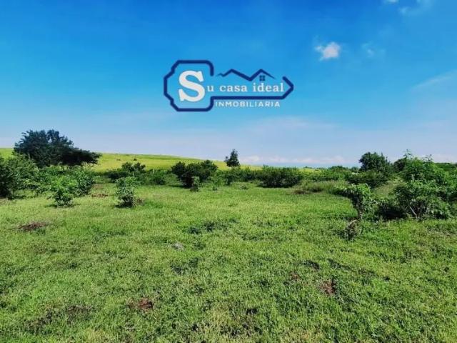 ️ terreno en Yecapixtla Morelos