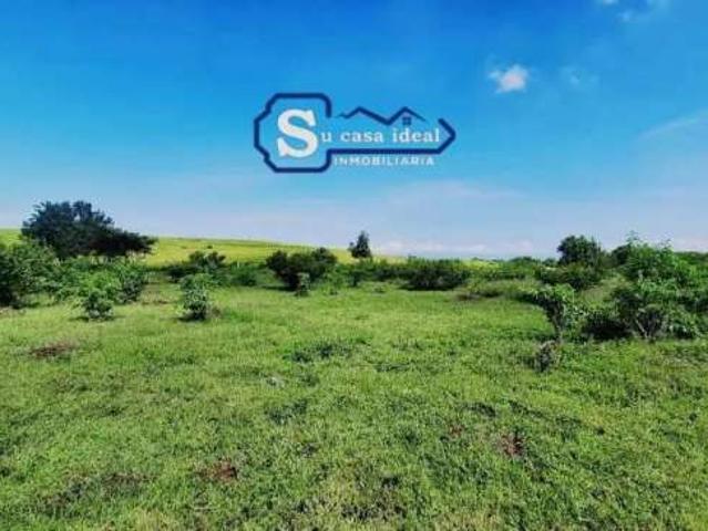 terreno en Yecapixtla Morelos