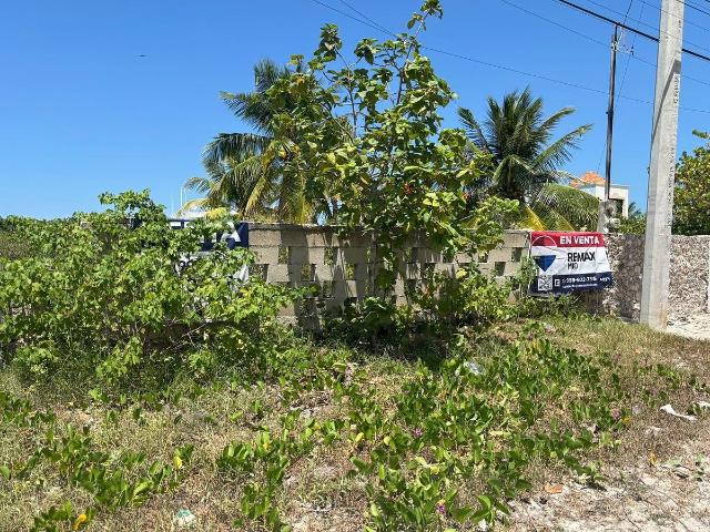 Terreno en 1era Fila San Benito Yucatán | CRA |
