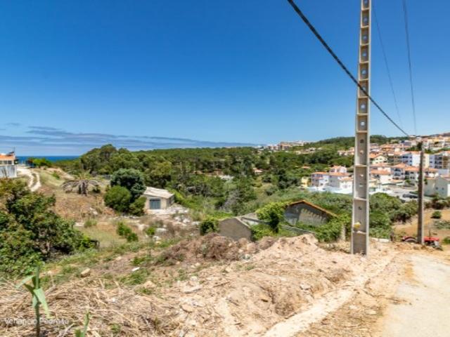 Terreno Ericeira, A Casa das Casas