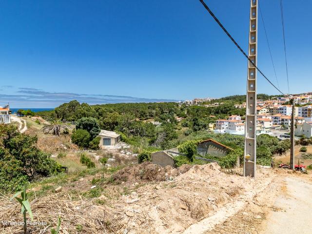 Terreno Ericeira, A Casa das Casas