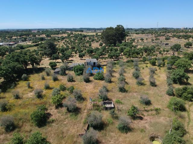 Terreno Escalos de Cima com construções agrícolas 5500m2
