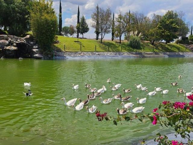 Terreno escriturado en Faro de los Cisnes Primera Etapa ¡Listo para construir!