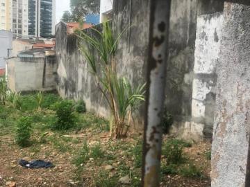 Terreno espetacular Praça da Arvore