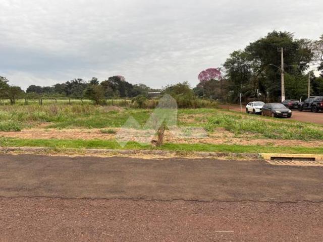 Terreno Esquina 535,80 m² 14,45 x 37,07 à venda, Tocantins, TOLEDO PR