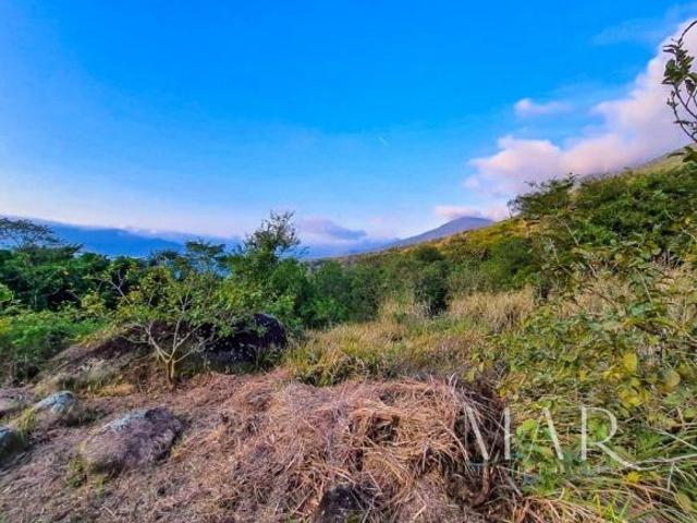 Terreno Estábulo
