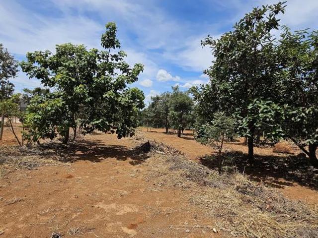 Terreno Estância Quintas da Alvorada amplo com vista
