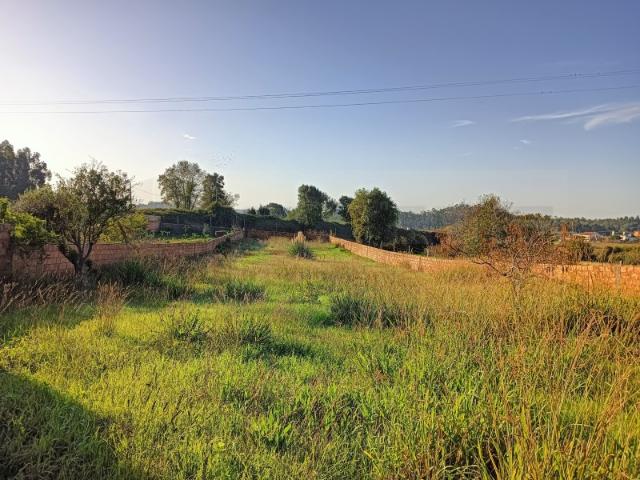 Terreno Estarreja