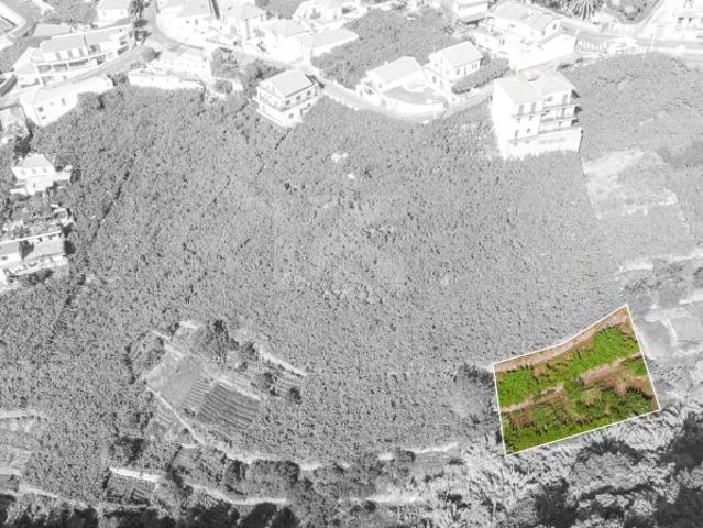 Terreno Estreito de Câmara de Lobos