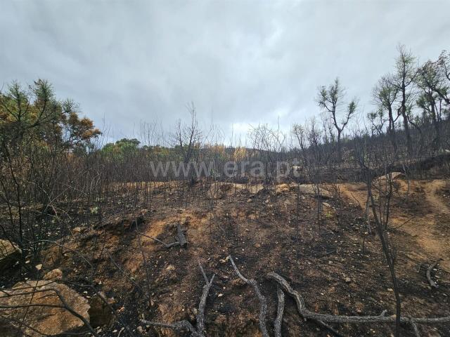 Terreno / Fundão, Telhado