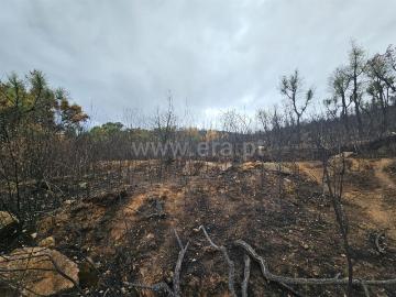 Terreno / Fundão, Telhado