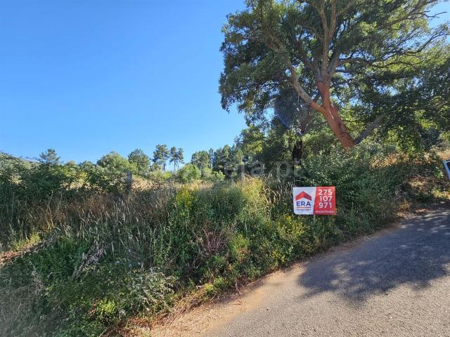 Terreno / Fundão, Castelejo