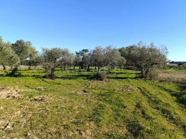 Terreno / Fundão, Catrão