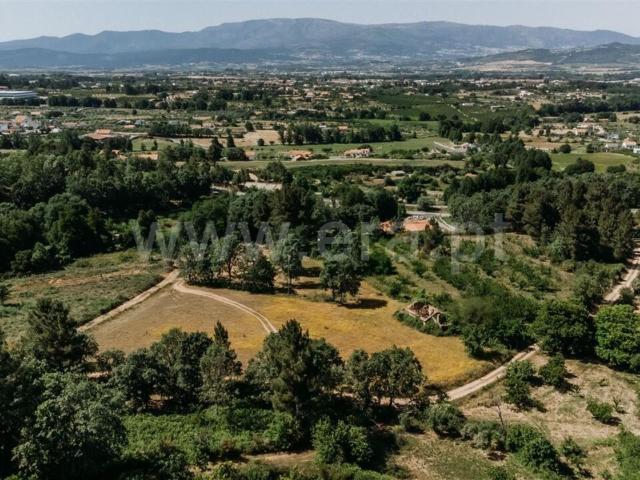 Terreno / Fundão, Donas