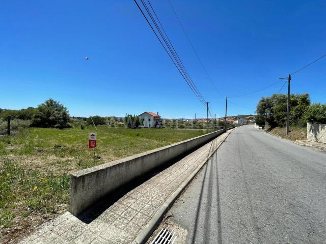 Terreno / Fundão, Escarigo