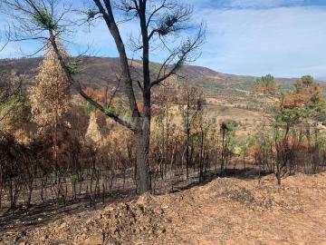 Terreno / Fundão, Freixial