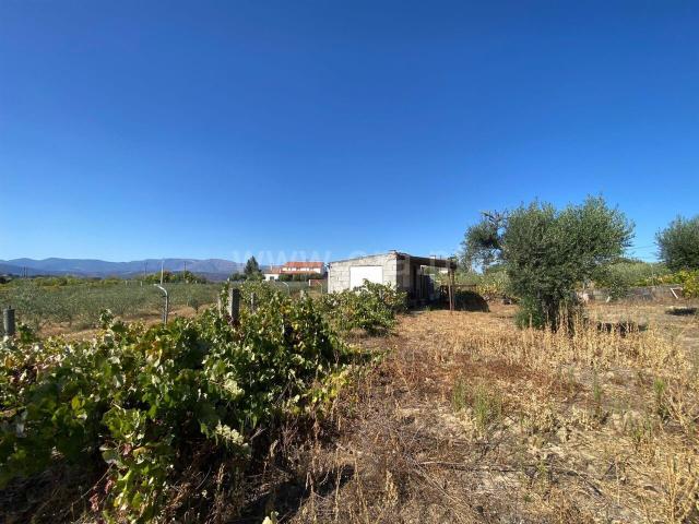 Terreno / Fundão, Fundão