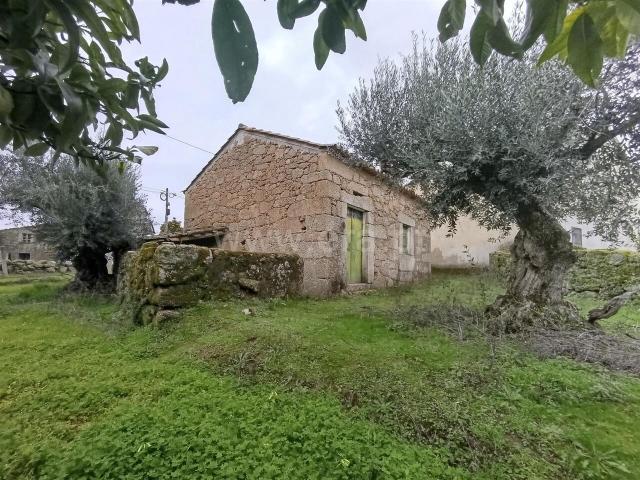 Terreno / Fundão, Martianas