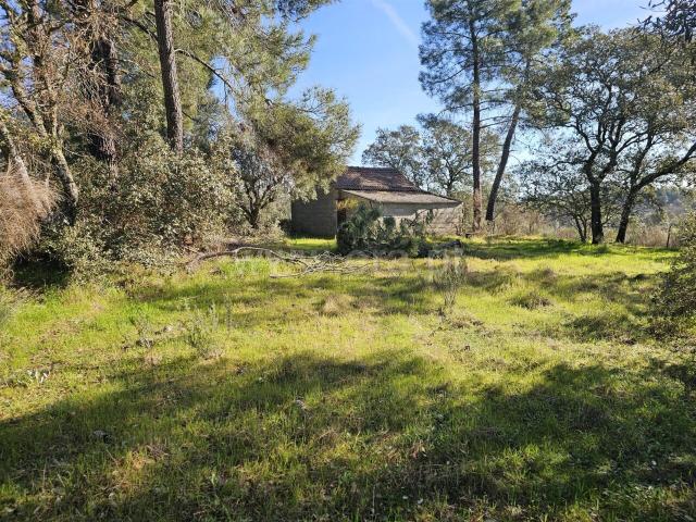 Terreno / Fundão, Orca