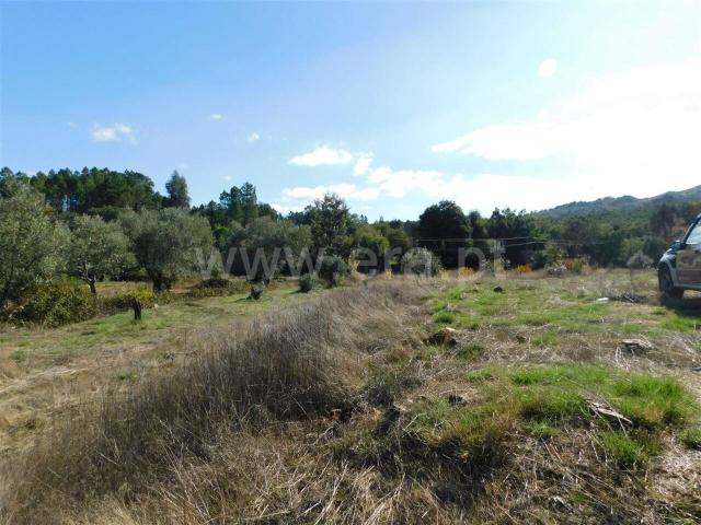 Terreno / Fundão, Quintas da Torre