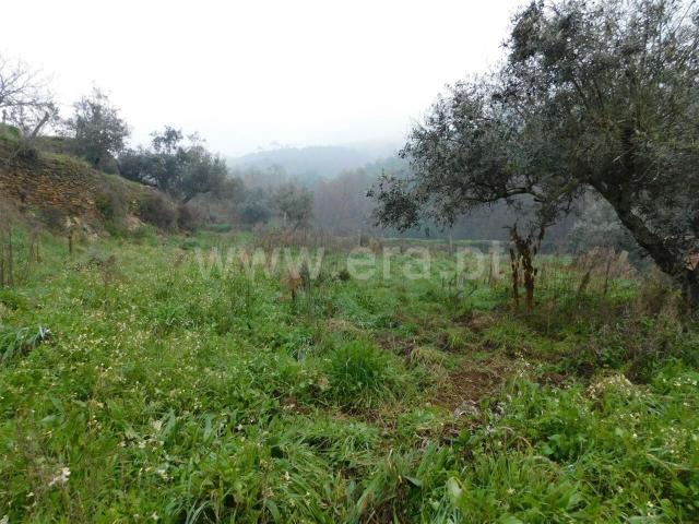 Terreno / Fundão, Souto da Casa
