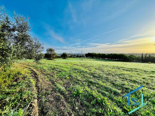 Terreno Fantástico para Construção de Moradia – Próximo do Centro de Tomar