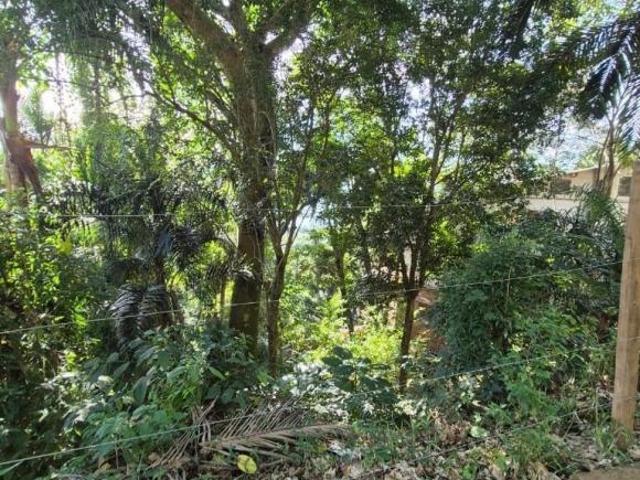 Terreno Ilhabela