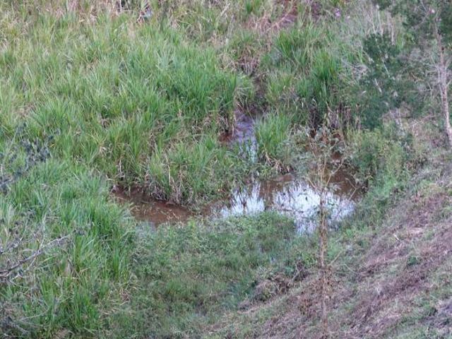 Terreno fim de estrada com água, floresta e platô 8km do centro de Gonçalves