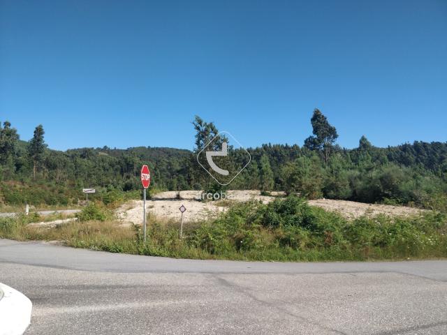 Terreno Floresta de Produção Com total de cerca de 10.000m2. Romarigães Paredes de Coura