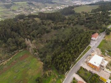 Terreno florestal 5,7 ha | Caldas da Rainha | Onde o espaço dá tempo ao tempo
