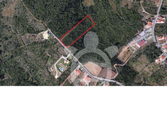Terreno Florestal