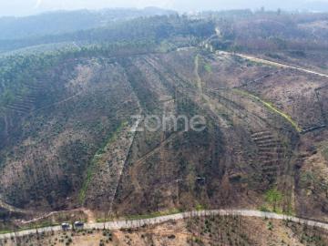 Terreno florestal urbanizável com 7.800 m2 Rio Mau, Penafiel