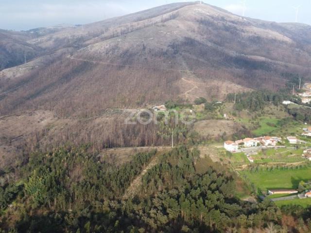 Terreno florestal urbanizável com 42.000 m2 Rio Mau, Penafiel