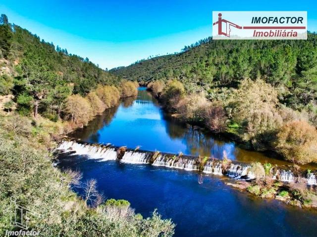 Terreno Florestal à Beira Rio Sto André das Tojeiras Castelo Branco