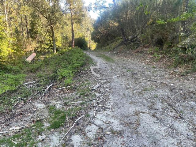 Terreno florestal Cabreiro Sistelo