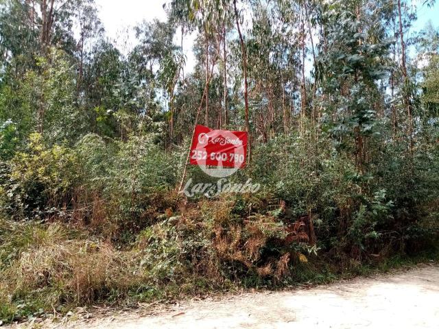 Terreno Florestal com 10.000m2 em Tougues Vila do Conde