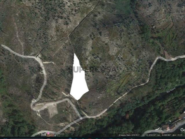 Terreno Florestal com 2643m²